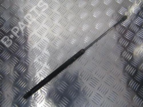 tailgate-lift-support-ford-focus-i-daw-dbw-1998-1999-2000-2001-2002-2003-2004-2005-2006-2007-2008-2009-35668689 main image