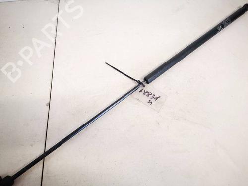 tailgate-lift-support-hyundai-sonata-v-nf-2004-2005-2006-2007-2008-2009-2010-2011-2012-2013-2014-35329853 main image