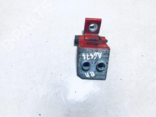 hingedoor-check-strap-peugeot-206-sw-2ek-2002-33077241 main image