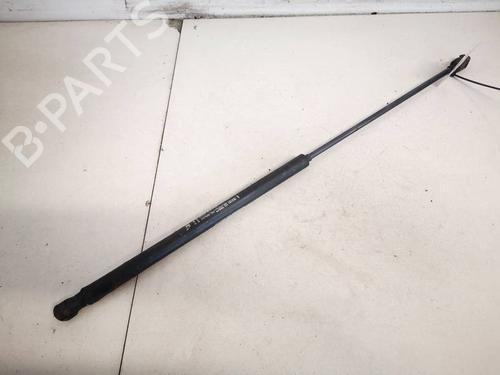 tailgate-lift-support-fiat-croma-194_-2005-2006-2007-2008-2009-2010-2011-35290063 main image