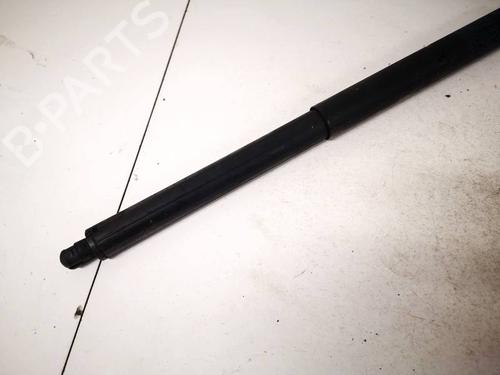 Tailgate lift support BMW X5 (E70) 3.0 d | BP35343183C138 - Image 2
