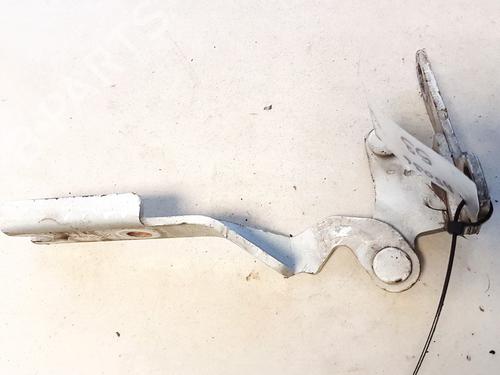 hingedoor-check-strap-citroen-c5-i-dc_-2001-2002-2003-2004-2005-35874246 main image