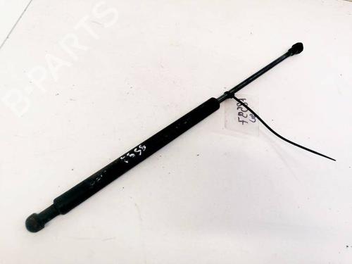 tailgate-lift-support-fiat-punto-evo-199_-2008-35361078 main image