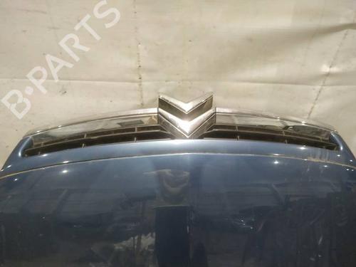 Used Grille Grille 38102595 38102595