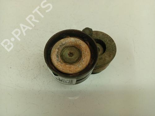 Polea Polea RENAULT MEGANE III Hatchback (BZ0/1_, B3_) 1.9 dCi (BZ0N, BZ0J) (131 hp) 39701596 39701596