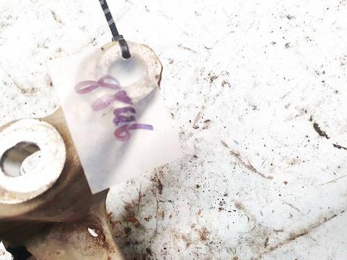 Engine mount HONDA CIVIC IX (FK) 1.6 i-DTEC (FK3) | BP32940030M89 - Image 3