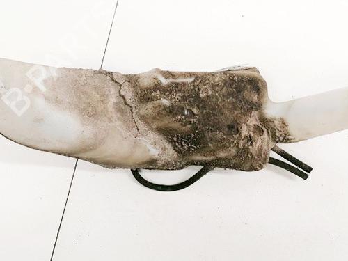 windscreen-washer-tank-opel-zafira-a-mpv-t98-1999-2000-2001-2002-2003-2004-2005-2006-35568884 main image