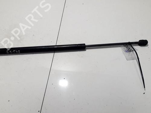 tailgate-lift-support-renault-scenic-ii-jm01_-2003-2004-2005-2006-2007-2008-2009-2010-35869366 main image