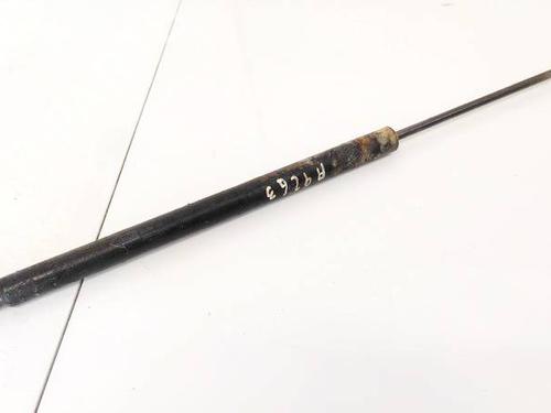tailgate-lift-support-ford-s-max-wa6-2006-2007-2008-2009-2010-2011-2012-2013-2014-35209337 main image