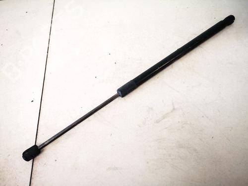 tailgate-lift-support-renault-scenic-ii-jm01_-2003-2004-2005-2006-2007-2008-2009-2010-35500868 main image