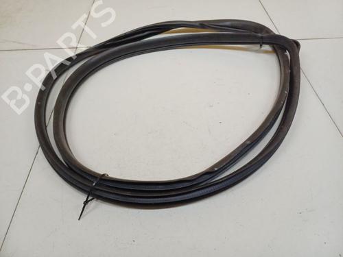 Gummiliste Gummiliste MAZDA 3 (BL) 2.2 MZR CD (BL10) (185 hp) 36822017 36822017
