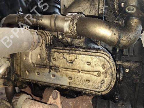 Egr VW JETTA III (1K2) 1.9 TDI | BP36687705M69 - Image 4