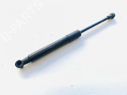 hood-lift-support-peugeot-rcz-2010-2011-2012-2013-2014-2015-35533704 main image