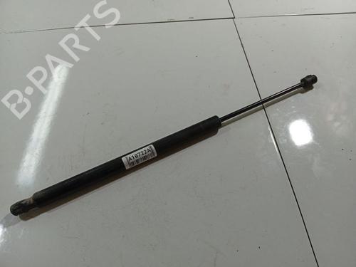 tailgate-lift-support-renault-scenic-ii-jm01_-2003-2004-2005-2006-2007-2008-2009-2010-34804725 main image