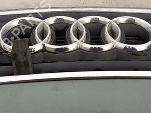 Used Grille Grille 35570867 35570867