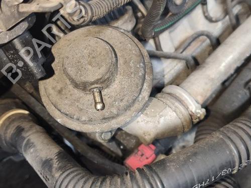 Used Egr Egr 35443386 35443386