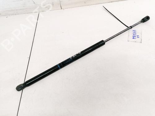 tailgate-lift-support-renault-scenic-ii-jm01_-2003-2004-2005-2006-2007-2008-2009-2010-35548571 main image