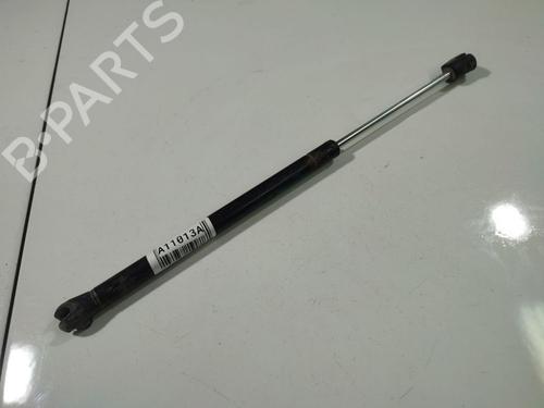 tailgate-lift-support-nissan-pathfinder-iii-r51-2005-34857998 main image
