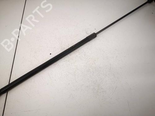 hood-lift-support-vw-passat-b6-3c2-2005-2006-2007-2008-2009-2010-2011-36688250 main image
