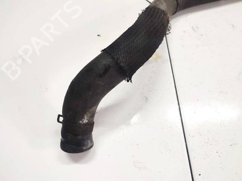 Pipe CHEVROLET CAPTIVA (C100, C140) 2.0 D | BP32583097M125 