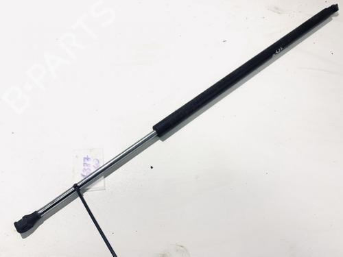 gasdmper-bagklap-renault-espace-iv-jk01_-2002-35555614 main image