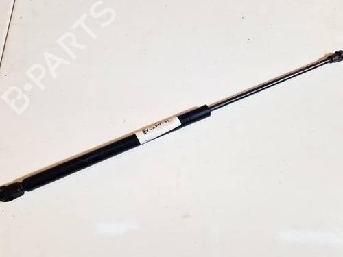 tailgate-lift-support-toyota-yaris-_p1_-1999-2000-2001-2002-2003-2004-2005-34998653 main image