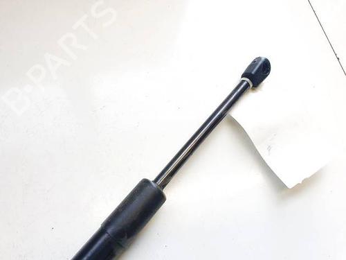 Tailgate lift support TESLA MODEL 3 (5YJ3) EV AWD | BP38739681C138 - Image 3
