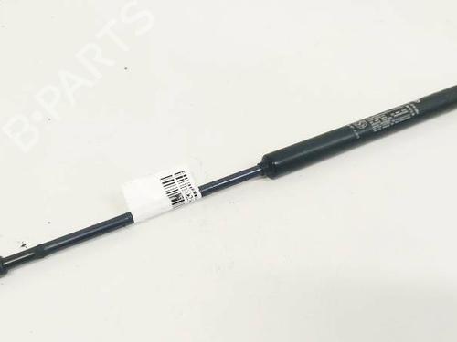 tailgate-lift-support-fiat-punto-evo-199_-2008-35118053 main image