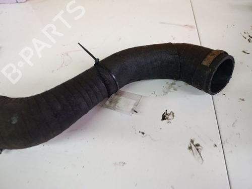 Pipe RENAULT VEL SATIS (BJ0_) 3.0 dCi (BJ0J, BJ0N) | BP36794540M125 - Image 3