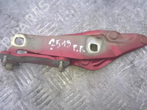 hingedoor-check-strap-renault-scenic-ii-jm01_-2003-2004-2005-2006-2007-2008-2009-2010-35879840 main image