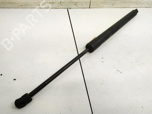 tailgate-lift-support-ford-galaxy-ii-wa6-2006-2007-2008-2009-2010-2011-2012-2013-2014-2015-35456054 main image