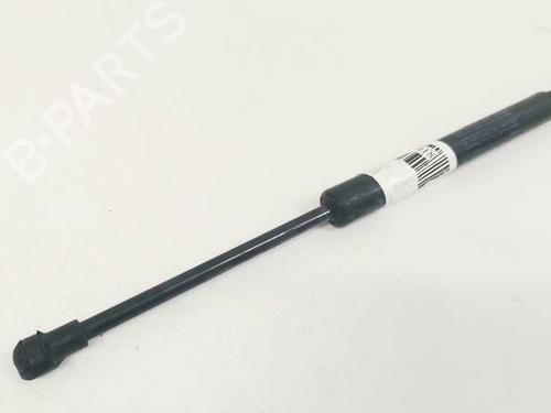 hood-lift-support-audi-tt-roadster-8j9-2007-2008-2009-2010-2011-2012-2013-2014-35176433 main image