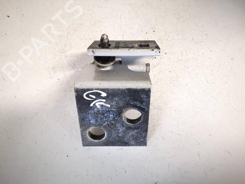 Hinge/Door check strap BMW X5 (E53) 3.0 d | BP32547515C146