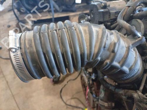 Pipe NISSAN NV200 Van 1.5 dCi 85 (M20, M20N, M20M) | BP37505231M125 - Image 4