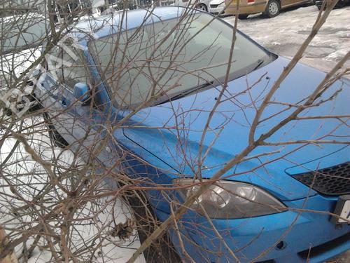 - Image 7