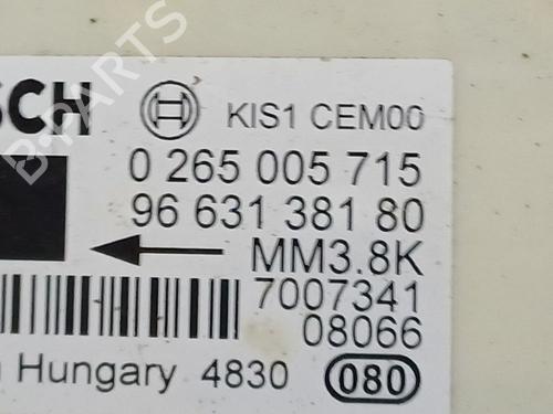 Electronic module CITROËN C5 III (RD_) 2.0 HDi (RDRHD8, RDRHDJ, RDRHR8, RDRHRJ) | BP36688307M83 - Image 4