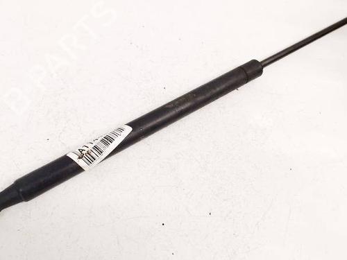 tailgate-lift-support-renault-laguna-iii-bt01-2007-2008-2009-2010-2011-2012-2013-2014-2015-36506421 main image