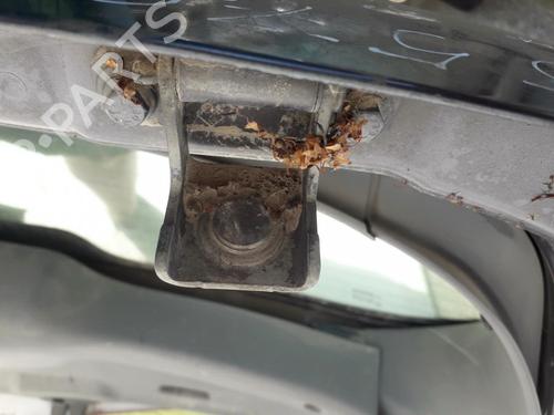 Used Hinge/Door check strap Hinge/Door check strap 35604899 35604899