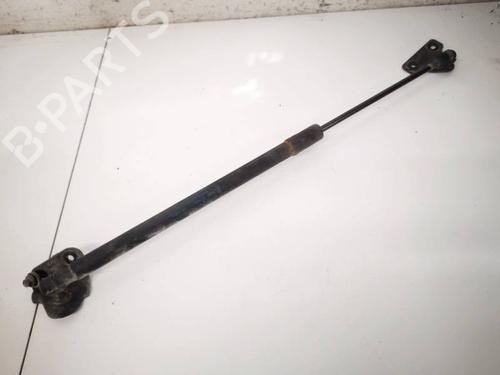 tailgate-lift-support-ford-focus-iii-2010-2011-2012-2013-2014-2015-2016-2017-2018-2019-2020-34843017 main image
