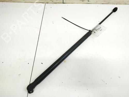 tailgate-lift-support-ford-focus-c-max-dm2-2003-2004-2005-2006-2007-35467793 main image