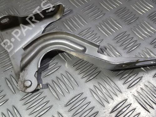 hingedoor-check-strap-honda-accord-vii-cl-cn-2003-2004-2005-2006-2007-2008-2009-2010-2011-2012-35673746 main image