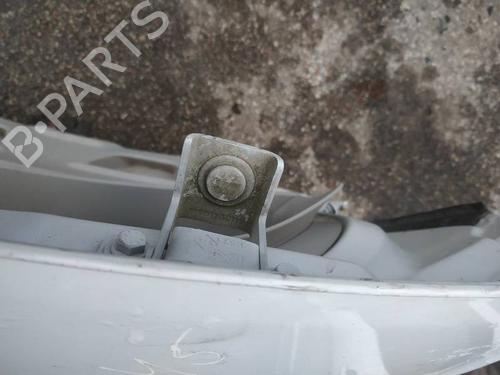 hingedoor-check-strap-renault-zoe-bfm_-2012-35190093 main image