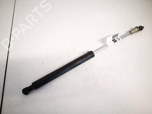 tailgate-lift-support-citroen-c5-iii-rd_-2008-2009-2010-2011-2012-2013-2014-2015-2016-2017-35158886 main image