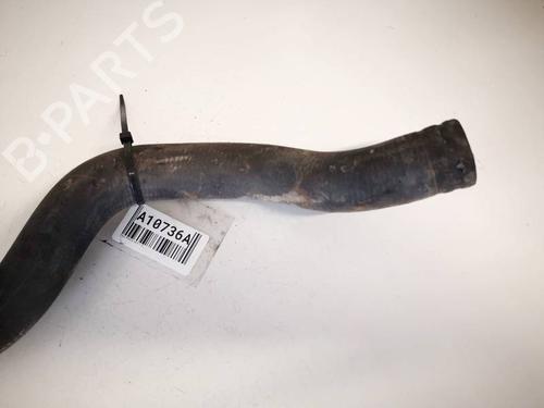 Pipe FORD FIESTA VI (CB1, CCN) 1.4 TDCi | BP32556634M125 - Image 2