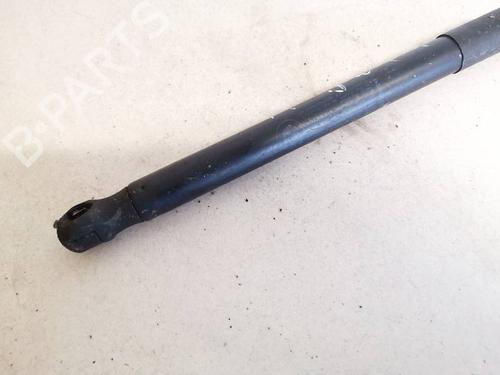 Tailgate lift support BMW X5 (E70) 3.0 d | BP35342876C138 - Image 3