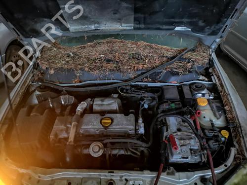 Warning switch OPEL ASTRA G Hatchback (T98) 2.0 DI (F08, F48) | BP35228155I22  - Image 7
