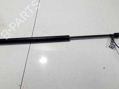 tailgate-lift-support-renault-scenic-ii-jm01_-2003-2004-2005-2006-2007-2008-2009-2010-35869365 main image