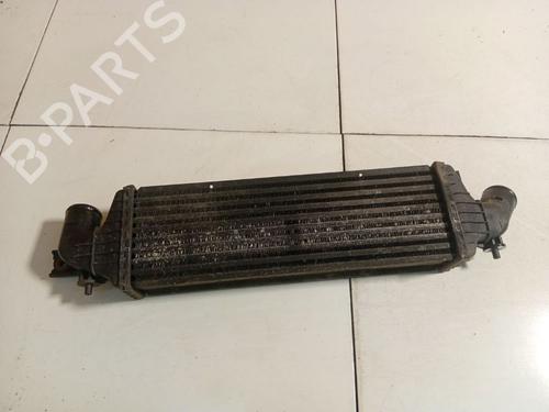 Intercooler Intercooler NISSAN PRIMERA Hatchback (P12) 1.9 dCi (116 hp) 36771029 36771029