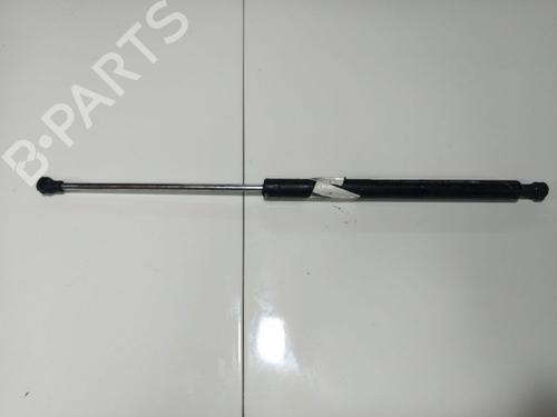 tailgate-lift-support-renault-laguna-ii-bg01_-2001-2002-2003-2004-2005-2006-2007-34946810 main image