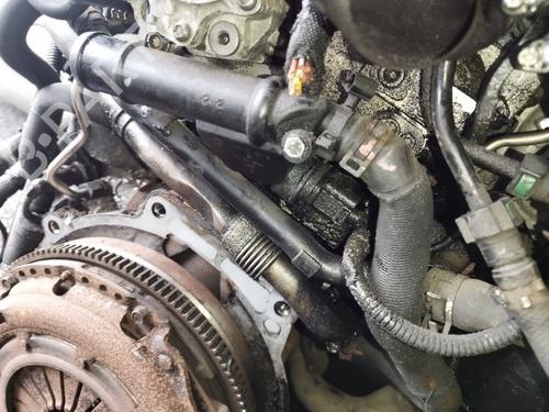 Thermostat housing DODGE CALIBER 2.0 CRD | BP35478556M116 - Image 3
